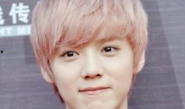 贺峻霖严浩翔最新爆料,揭秘娱乐圈不为人知的幕后故事